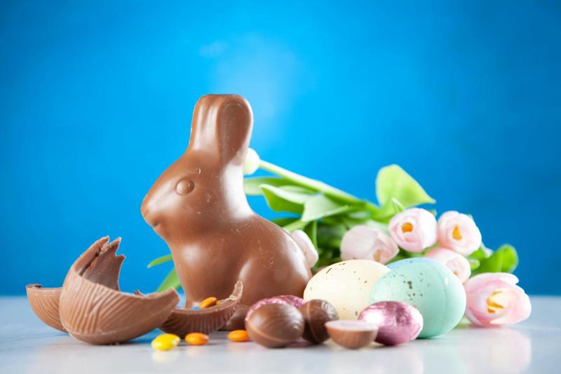 Conejo de Pascua - pexels.com