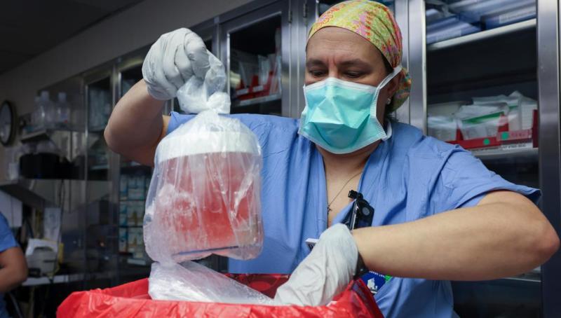 Una enfermera especialista saca el órgano de su caja de transporte para ser transplantado en el paciente - Deutsche Welle