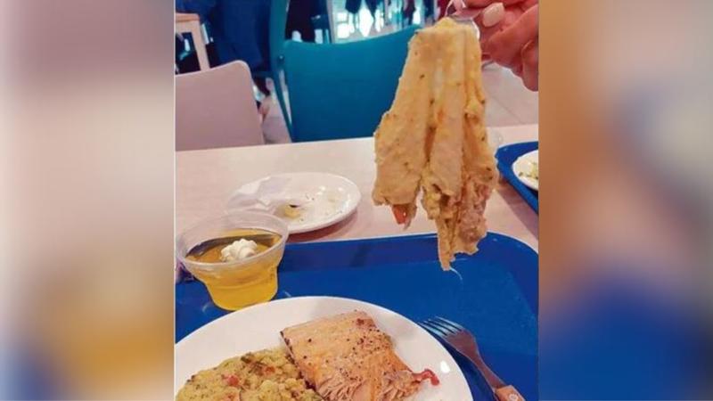 Funcionaria del Hospital Gustavo Fricke encontró paño en guiso - La Estrella de Valparaíso