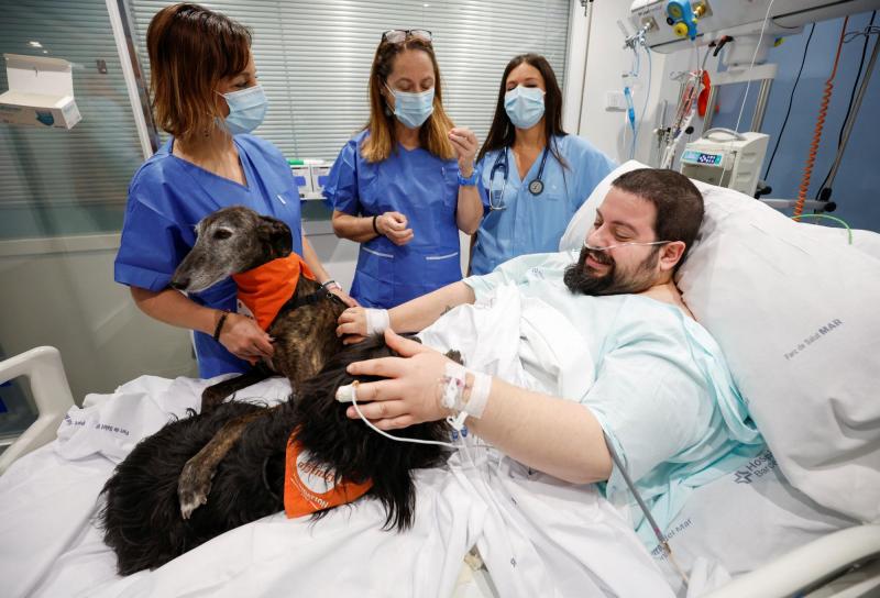 Perros para pacientes UCI en Barcelona - Reuters