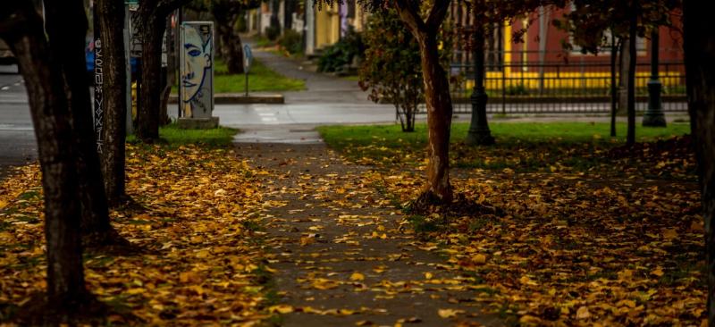 Otoño en Osorno - Agencia Uno, archivo