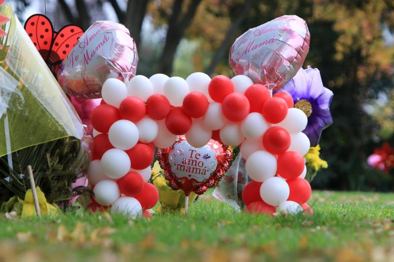 Día de la Madre - Agencia Uno