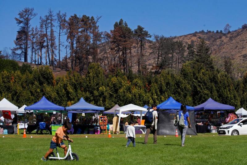 Aton - Jardín Botánico de Viña del Mar reabre parcialmente tras megaincendio que lo destruyó