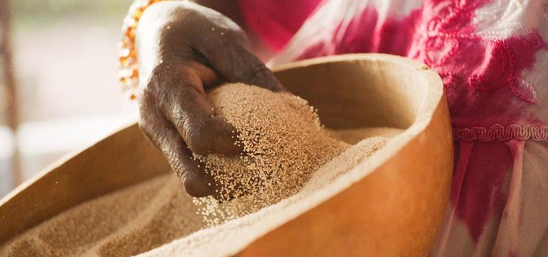 Fonio - Blog de Bill Gates