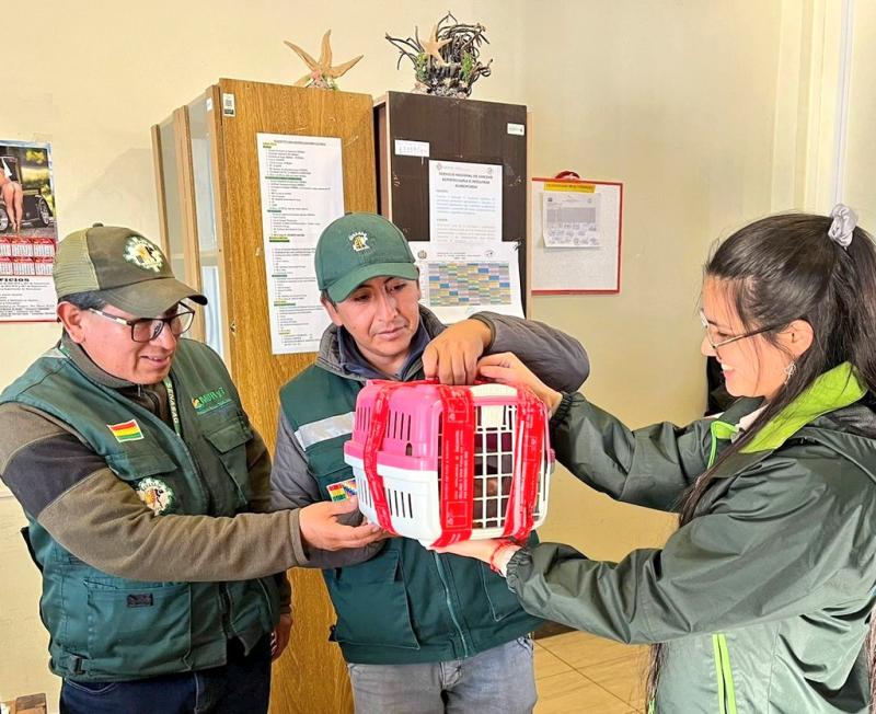 Mono ardilla dentro de una jaula