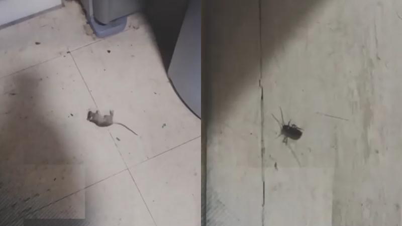 T13 - Funcionarios del SAMU Metropolitano acusan plagas en las distintas bases