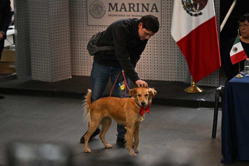 Representantes de México se llevaron al perro que cuidaban en la embajada de Ecuador.j