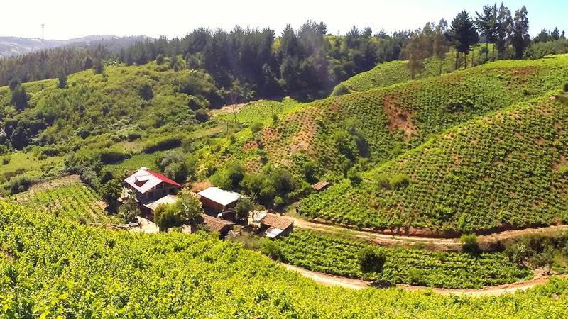 Chile es tuyo - Valle del Itata