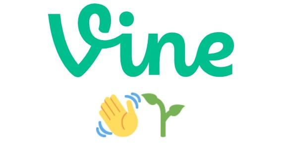 Elon Musk tiene "intenciones" de revivir a Vine