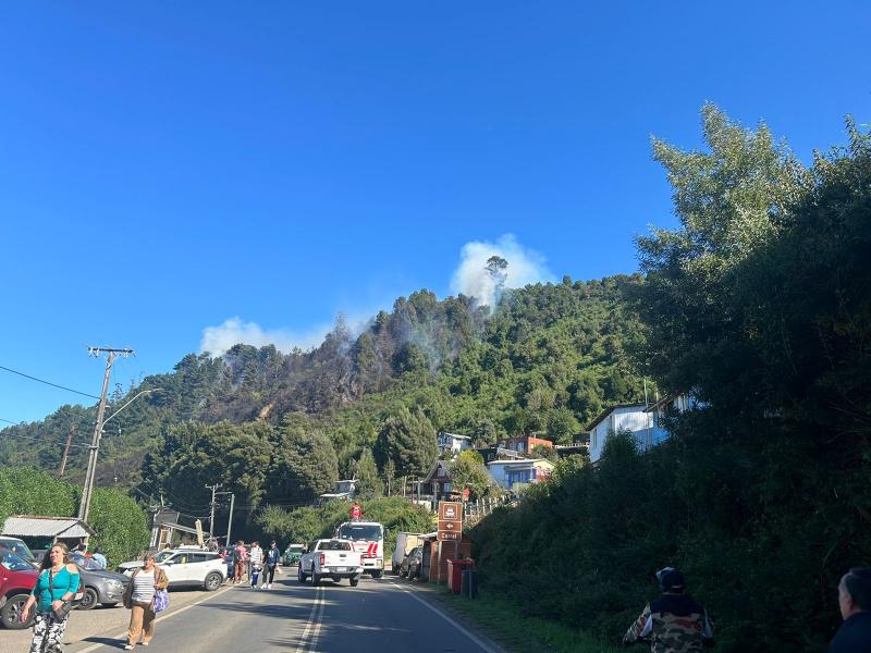 Incendio afecta al sector de Niebla en Valdivia