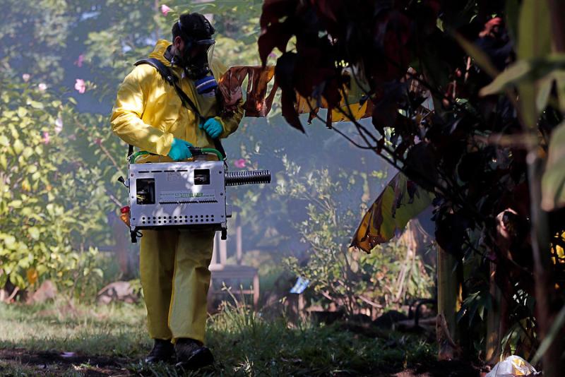Agencia Uno - Dengue en Chile