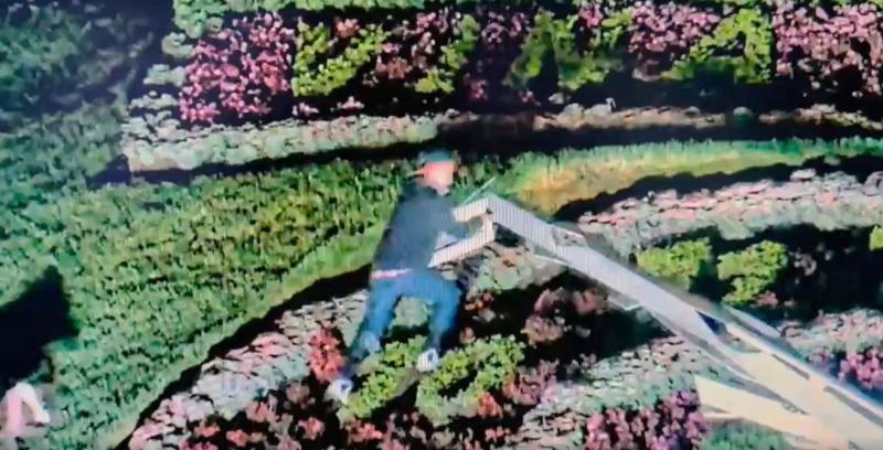 Reloj de Flores - Cámara de seguridad