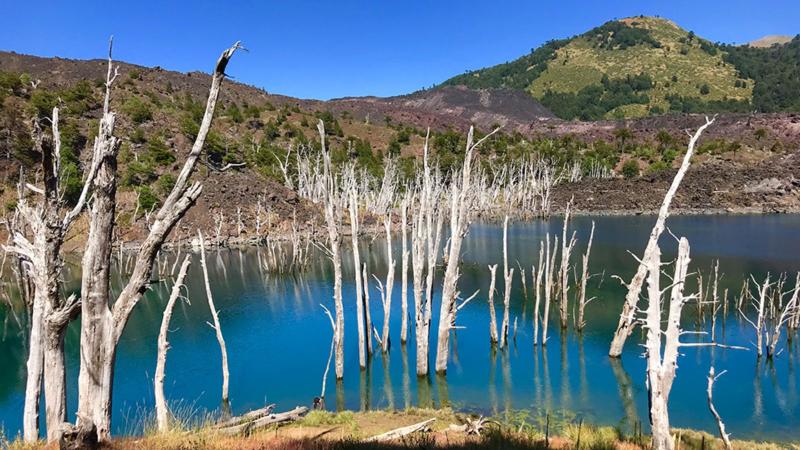 Foto: Malalcahuello Chile