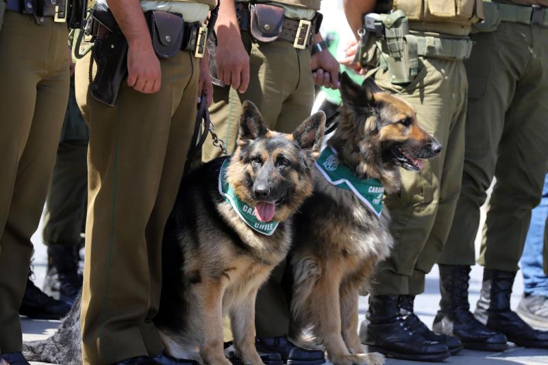 Comisarías serán pet friendly - Agencia Uno