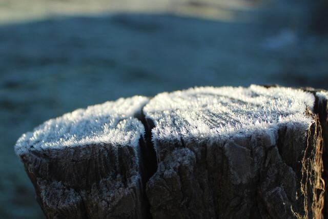 Agencia Uno - Referencial