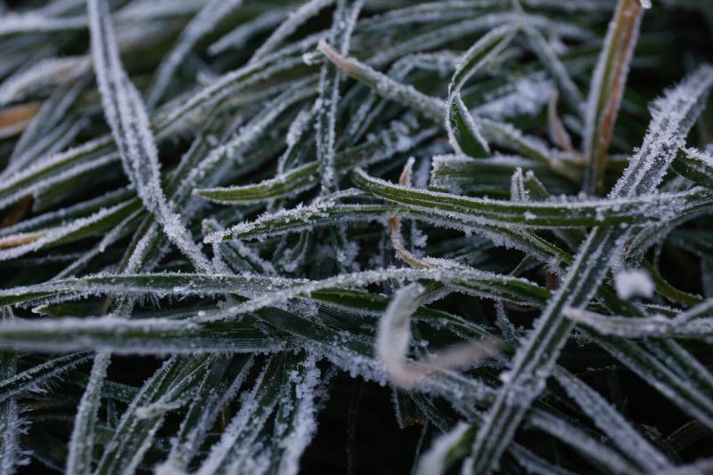 Agencia Uno - Gobierno activa Código Azul para seis regiones ante baja temperaturas