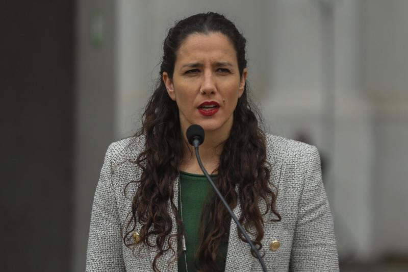 Diputados solicitan renuncia de subsecretaria Albagli tras muertes por influenza - Agencia Uno