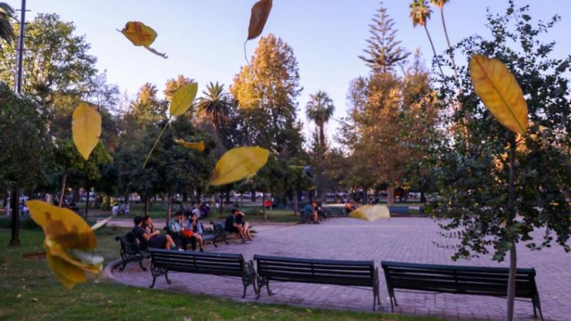 Aton - Trastorno Afectivo Estacional - imagen referencial