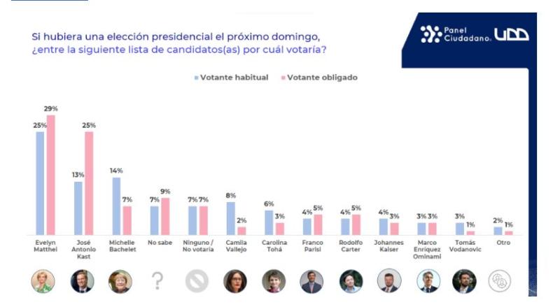 Encuesta Panel Ciudadano UDD