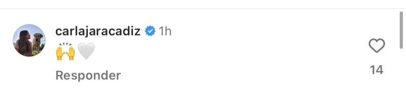 Mensaje de Carla Jara en Instagram