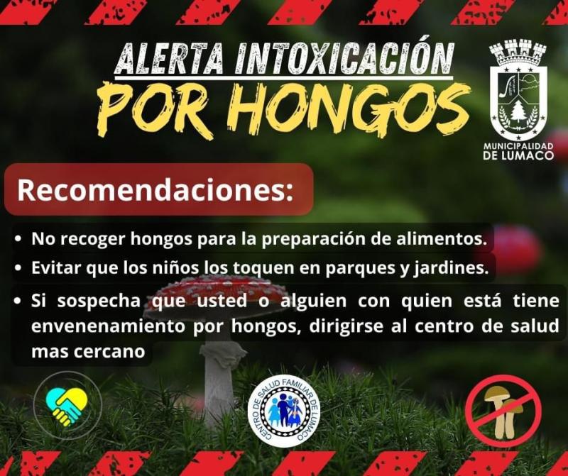 Municipalidad de Lumaco - Precauciones por hongos venenosos