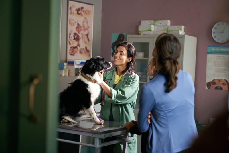 Película "Perra Vida"