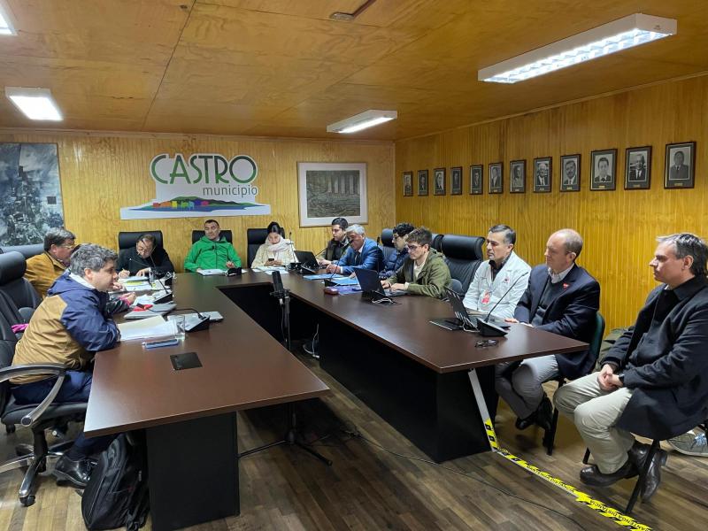 Proyecto Teletón en Castro