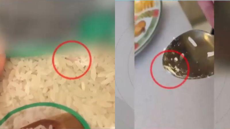 T13 - Presencia de larvas en el arroz