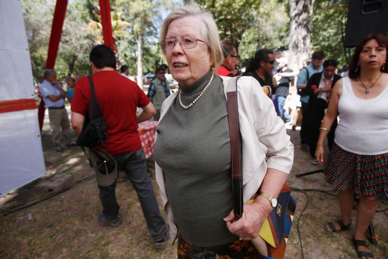 ATON - Diputada Mercedes Bulnes