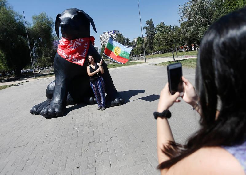Agencia Uno - Perro Matapacos