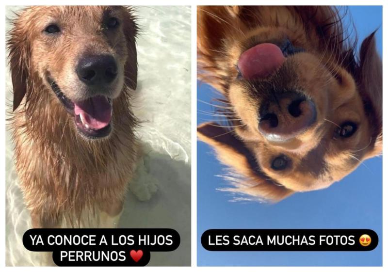 Instagram - Los perros de Alexis Sánchez