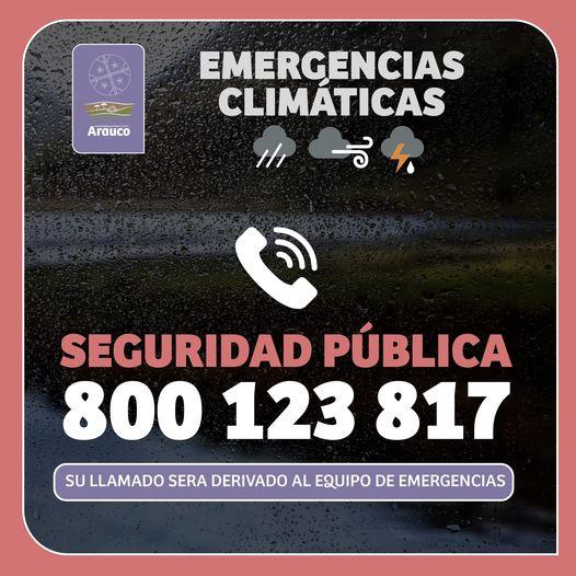 Municipalidad de Arauco