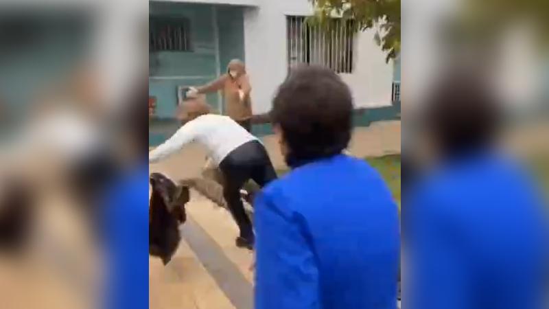 Instagram - Alcaldesa de Nogales, Margarita Osorio, sufrió fuerte caída