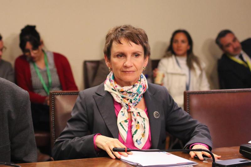 Agencia Uno - Vicepresidenta Carolina Tohá informó sobre alarma meteorológica