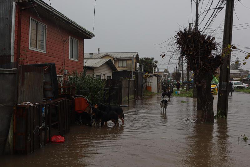 ¿Hasta cuándo lloverá en el Biobío? - Referencial Agencia Uno