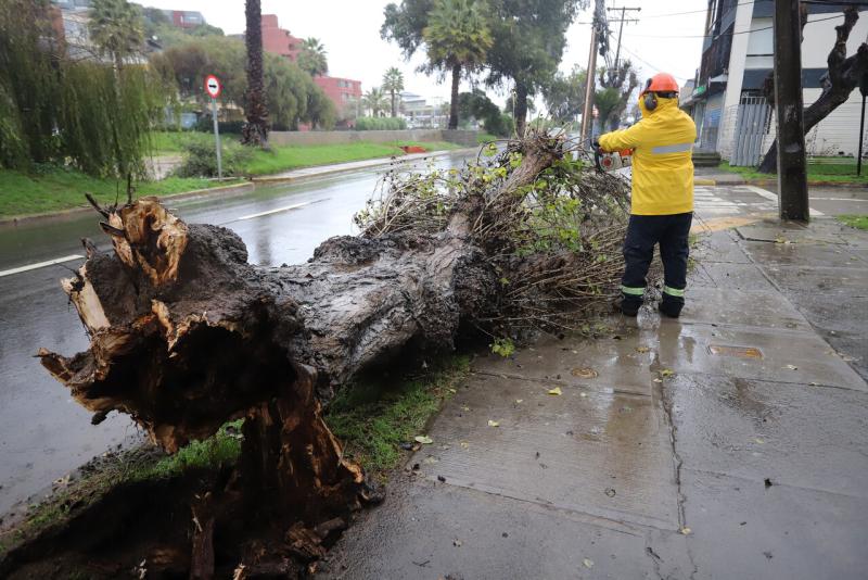 Agencia Uno - Sistema frontal: Hay 10 mil casas dañadas y más de 1.300 personas damnificadas