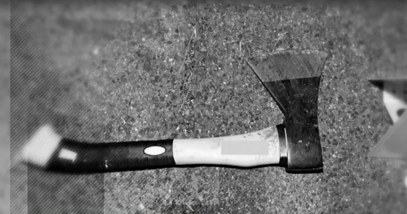 T13 - Con hacha asesinaron a chilena en Austria