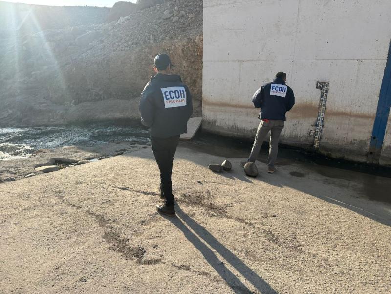 ECOH Arica investiga el hallazgo de un cuerpo calcinado - Un perro encontró restos