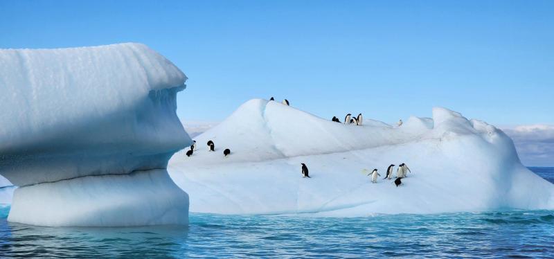 Metaverso Antártico: Videojuego chileno invita a explorar la Antártica