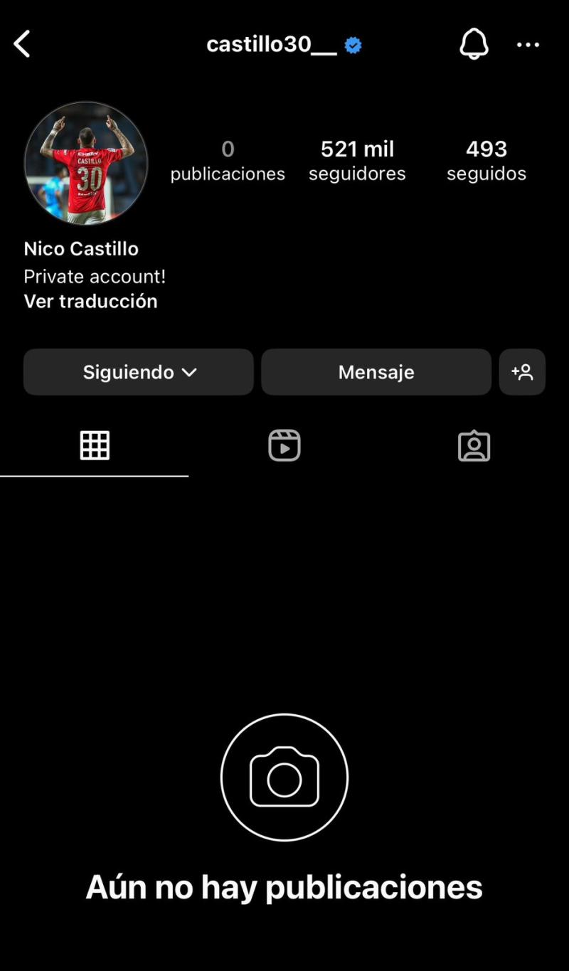 Nicolás Castillo borró todas sus publicaciones - Créditos: Captura Instagram