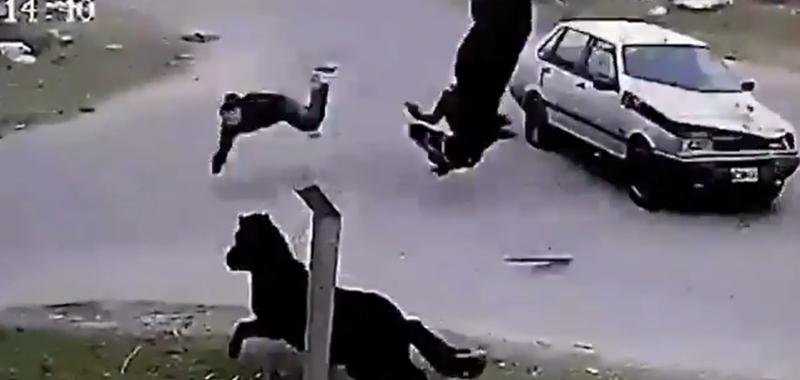Accidente caballo en Argentina