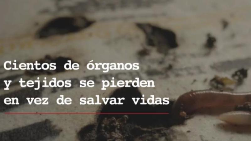 Ministerio de Salud - Donación de órganos