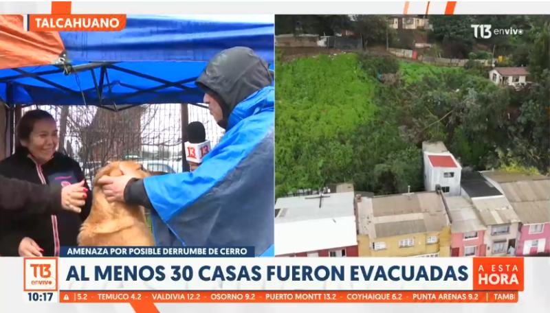 Perrito interrumpió despacho en Talcahuano - T13 En Vivo