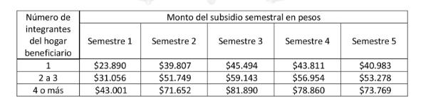T13 - Subsidio eléctrico