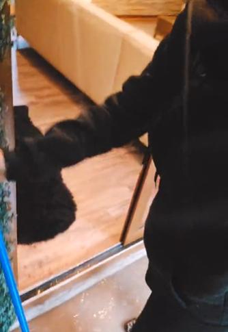 Pamela Díaz sufrió inundación en su casa en Chicureo