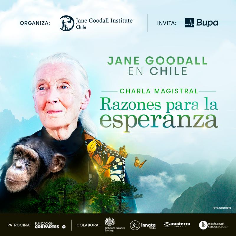 Jane Goodall en Chile