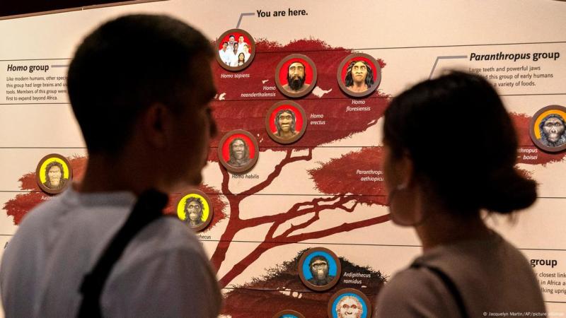 Deutsche Welle - Las mutaciones en el gen BAZ1B habrían hecho al "Homo sapiens" más sociable y tolerante con los extraños.