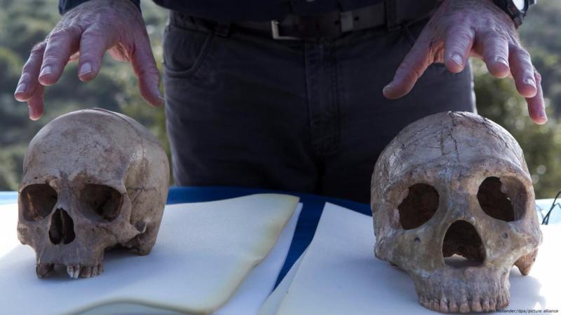Deutsche Welle - Los neandertales, conocidos por su arte rupestre, demostraron habilidades cognitivas avanzadas. En la foto, un cráneo humano moderno (I) y un cráneo neandertal (D).