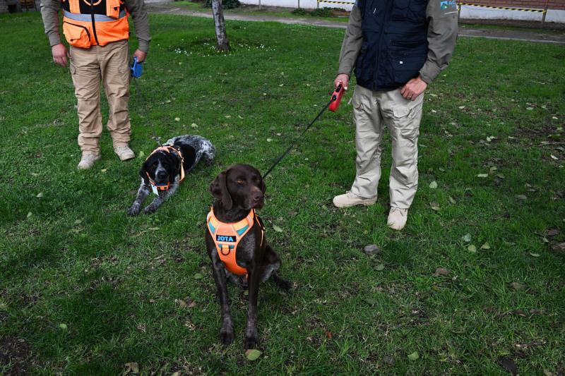 Suki y Jota en Santiago - AFP