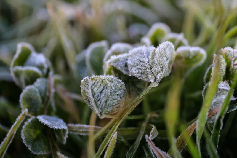 Agencia Uno - Michelle Adam explicó qué es un golpe de frío